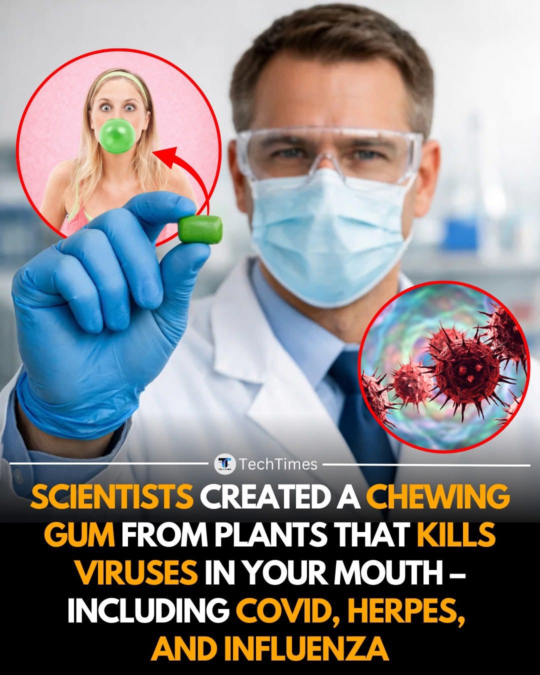 SCIENTISTS HAVE DEVELOPED A PLANT-BASED CHEWING GUM DESIGNED TO REDUCE VIRAL LOAD IN THE MOUTH